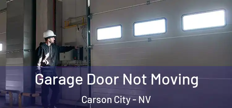  Garage Door Not Moving Carson City - NV
