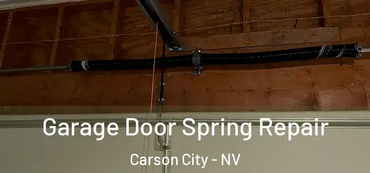  Garage Door Spring Repair Carson City - NV