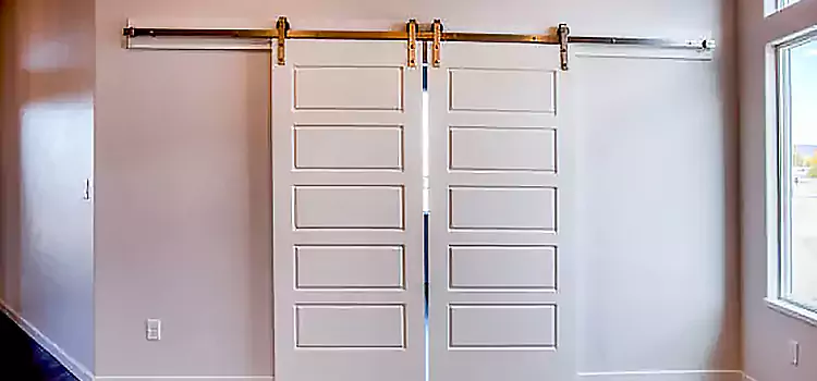 Glass Barn Door with Installation Hardware Kit Carson City