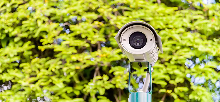 Advanced Surveillance Solutions for Every Need in Carson City