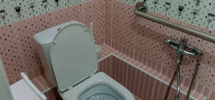 Meeting Diverse Needs With Accessible Restroom Solutions in Carson City, NV
