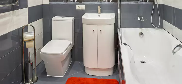 Hansgrohe Shaving Mirror Carson City