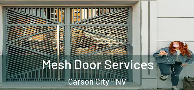  Mesh Door Services Carson City - NV