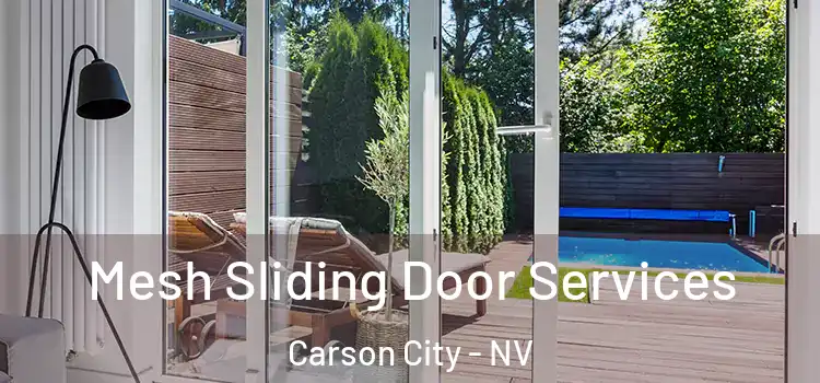 Mesh Sliding Door Services Carson City - NV