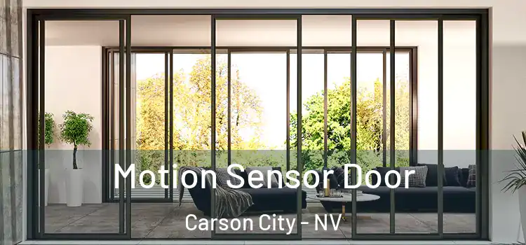 Motion Sensor Door Carson City - NV