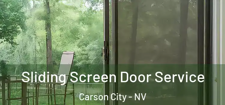 Sliding Screen Door Service Carson City - NV